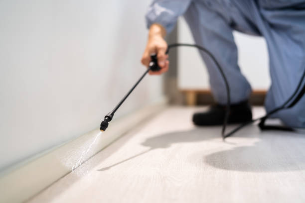 Licensed Ant Control service in San Luis Obispo, CA - Nex Pest Control