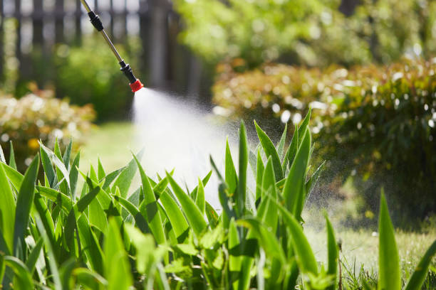 24/7 Emergency Ant Control experts in San Luis Obispo, CA