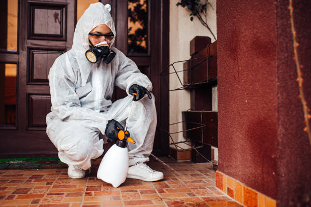 Reliable Ant Control contractor in San Luis Obispo, CA by Nex Pest Control