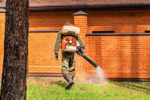 Trusted Bed Bug Control service in San Luis Obispo, CA - Nex Pest Control